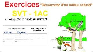 La D Couverte D Un Milieu Naturel Exercices Doovi