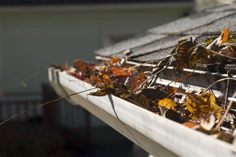 Leaves In Gutter Stock Image Image Of Stem Roof Fall 29760991