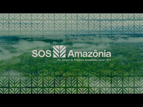 SOS Amazônia ONG de conservação ambiental vídeo institucional YouTube