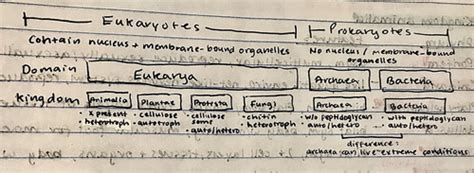 Bio Units 1 2 Flashcards Quizlet