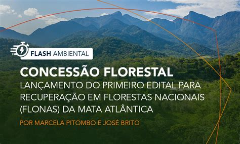 Concess O Florestal Lan Amento Do Primeiro Edital Para Recupera O Em