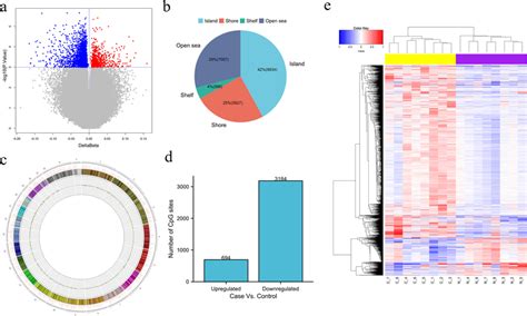 Distribution Of The Differentially Methylated Cpg Sites And Clustering