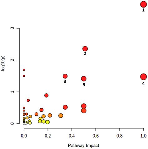 Differentially Regulated Metabolic Pathway Analysis From The Annotated