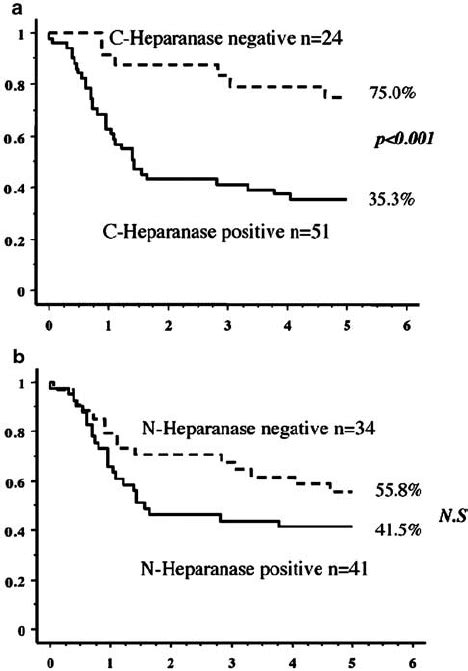 Kaplan Meier Survival Curves Of Patients With Esophageal Carcinoma That