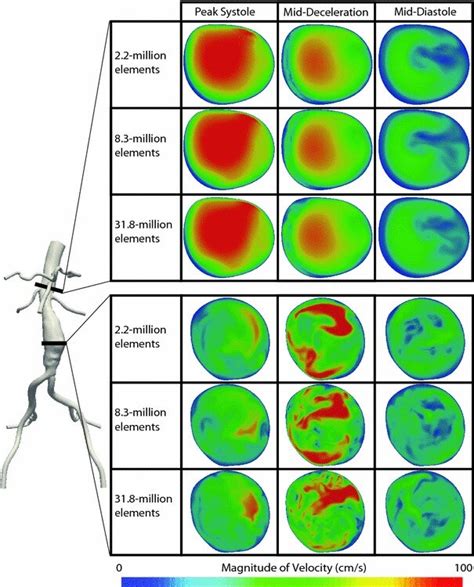 Oscillatory Shear Index Osi For Rest Left Of Each Pair And Exercise