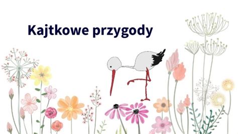 Kajtkowe Przygody