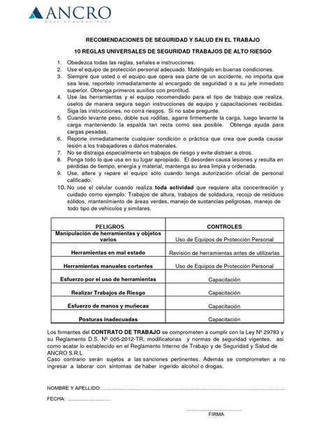 3 Formato Recomendaciones De Seguridad Pdf