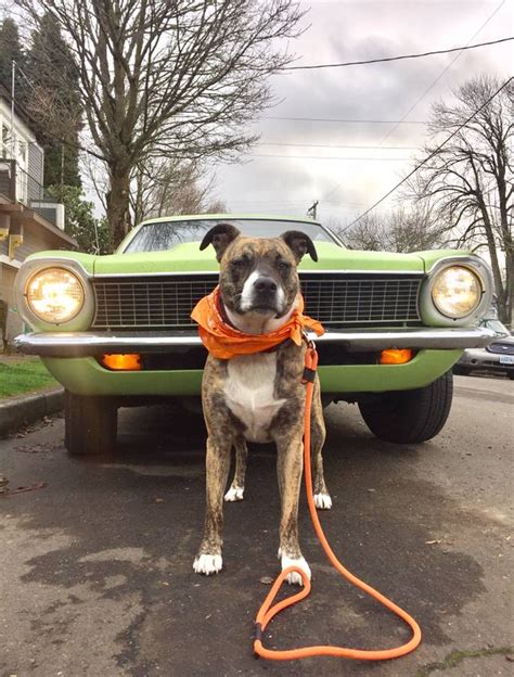 Ford Maverick Two Door For Sale In Portland Oregon