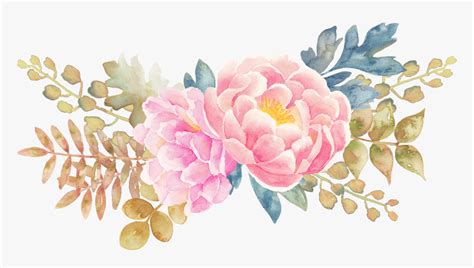 Peony Flower Watercolor Painting Transparent Cartoons Transparent