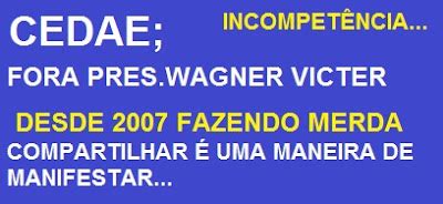 Cuidado A Zeidan Quer Ser Deputada Estadual