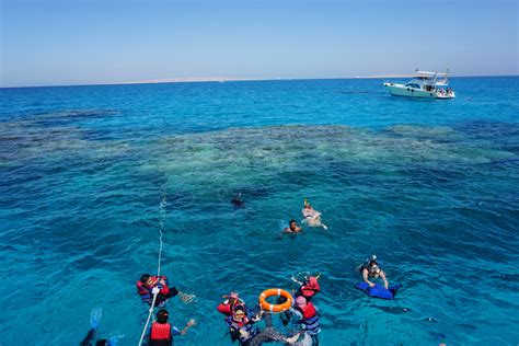 Hurghada snorkeling tour and dolphin house trip – Tigrest Travel Blog