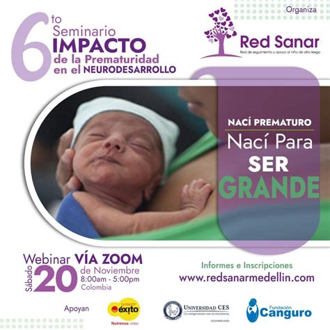 Sexto Seminario Impacto De La Prematuridad En El Neurodesarrollo