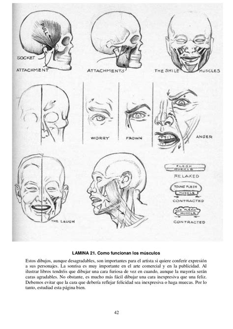 Andrew Loomis Dibujo De Cabeza Y Manos Espa Ol Andrew Loomis Basic