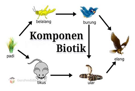 Pengertian Komponen Biotik Macam Hubungan Dan Faktor Hack Ac Id