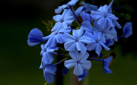 Skarby jesieni ostatni tydzień na zwiedzanie Ogrodu Botanicznego w