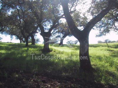 Casas Rurales En Sierra De Huelva Tuscasasrurales