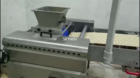 Skywin Small Electric Tunnel Oven Soft Biscuit Cookies Production Line