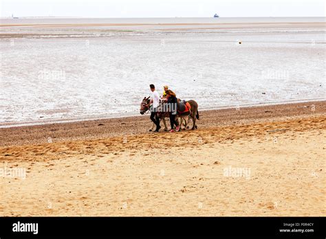 Donkey ride rides on beach child sat on riding donkeys Cleethorpes ...