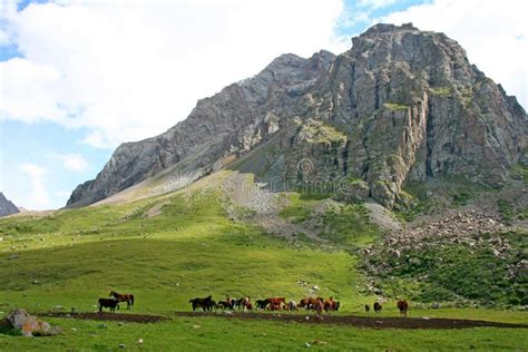 Tien Shan Mountains Kyrgyzstan Stock Image Image Of Ashukashka Trek