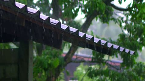 Sonido De Lluvia Relajante Cayendo En Techo De Metal Con Truenos