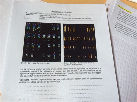 Devoir Maison Svt Eme Genetique Ventana Blog