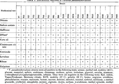 Table 3 From Characterization Of Yersinia Enterocolitica And Yersinia Pseudotuberculosis By