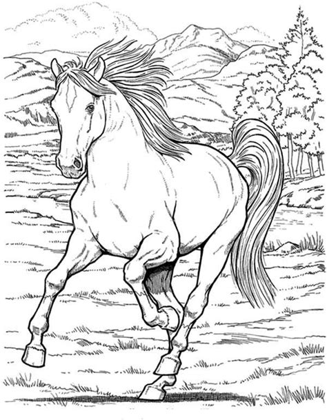 Foal Coloring Pages at GetDrawings | Free download