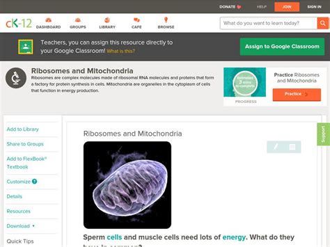 Ck 12 Biology Ribosomes And Mitochondria Unit Plan For 9th 10th Grade Lesson Planet