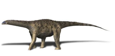 Saltasaurus Pictures & Facts - The Dinosaur Database