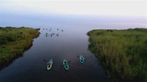 Fish & Game: Kayaking down Cane Bayou in Lacombe | wwltv.com