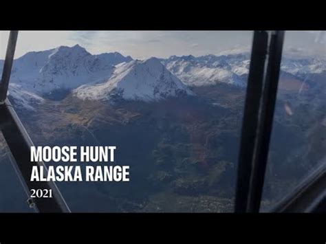 Alaska Moose Hunt YouTube