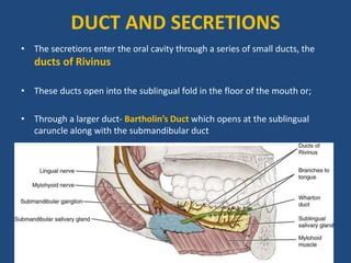 SUBLINGUAL SALIVARY GLANDS.pptx