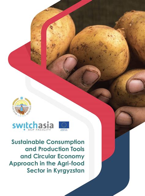 Sustainable Consumption And Production Tools And Circular Economy