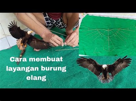 Cara Membuat Layangan Burung Elang Youtube