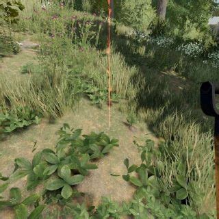 Hand Plant Saplings V Fs Mod Farming Simulator Mod