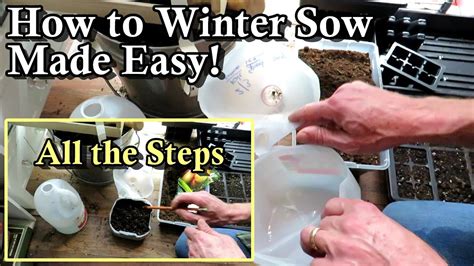 How To Winter Sow Garden Seeds Why It Works How To Do It Using A