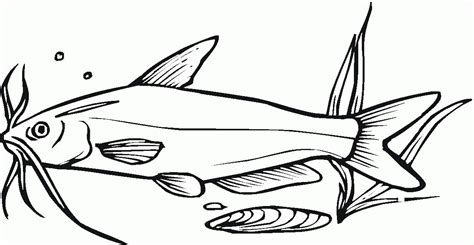 Catfish Coloring Page Colouringpages