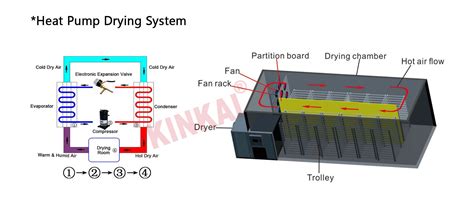 fruit heat pump dehydrator grape dryer machine industrial air source