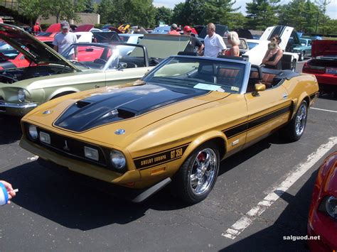 1971 Ford Mustang Shelby Salguod Gallery