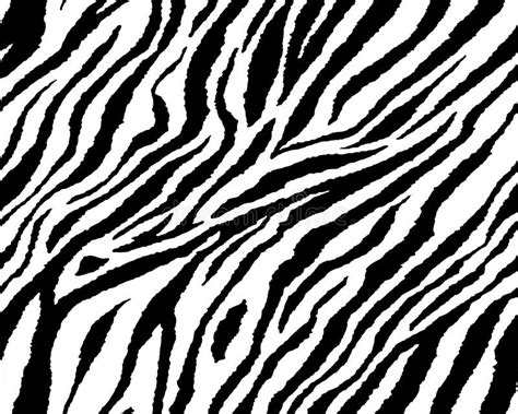 Full Seamless Wallpaper For Zebra And Tiger Stripes Animal Skin Pattern