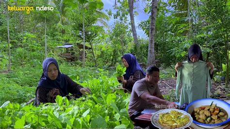 Alhamdulillah Dapat Hadiah Dari Jakarta Panen Sawi Tumis Bakso Sawi