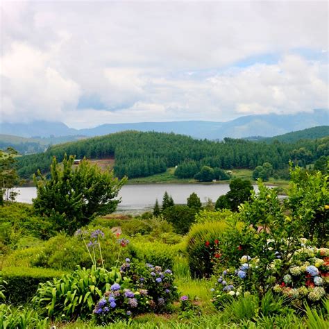 Lakeview Cottages Rooms