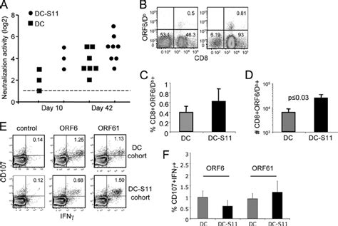 Analysis Of The ␥ Hv68 Specific Response In Vaccinated And Challenged