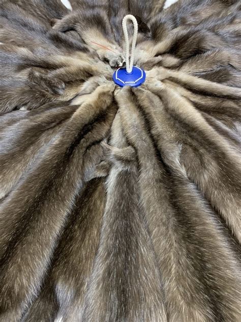 Шкура соболя с сединой баргузинский | Купить в магазине Западный лис