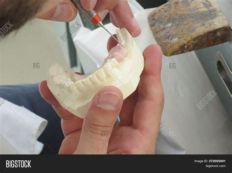 Dental Lab Image & Photo (Free Trial) | Bigstock