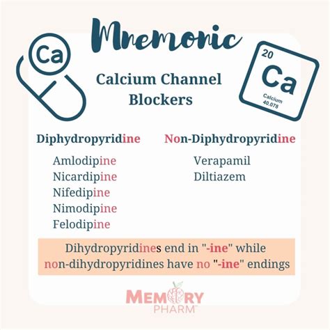 Calcium Channel Blockers – Memory Pharm