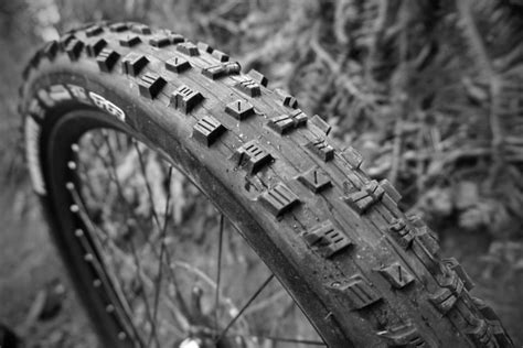 Maxxis Forekaster 26 Tire Review Singletracks Mountain Bike News