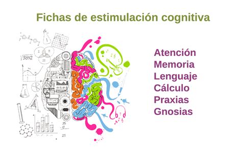 Descarga Más De 20 Fichas De Estimulación Cognitiva 2024