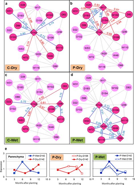 Transcription Regulatory Networks Tf Target Network Of Cassava Root Download Scientific