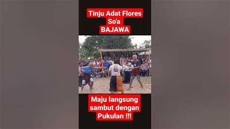 Maju Langsung Sambut Dengan Pukulan Seruu Tinju Adat Flores Soa